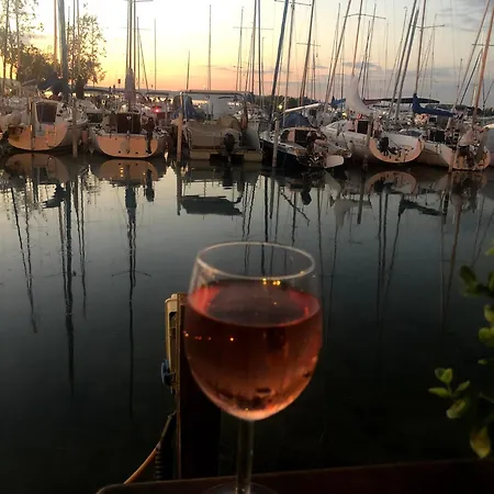 Villa Szeplak-szive Vendeghaz *